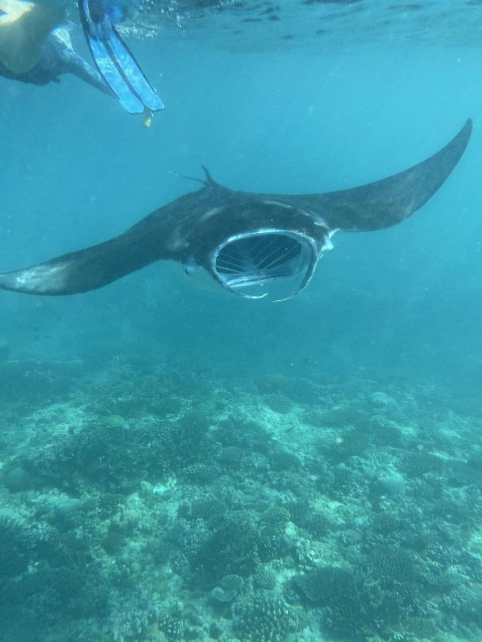 Mamello Beach Club Maldives Feridhoo Exteriör bild