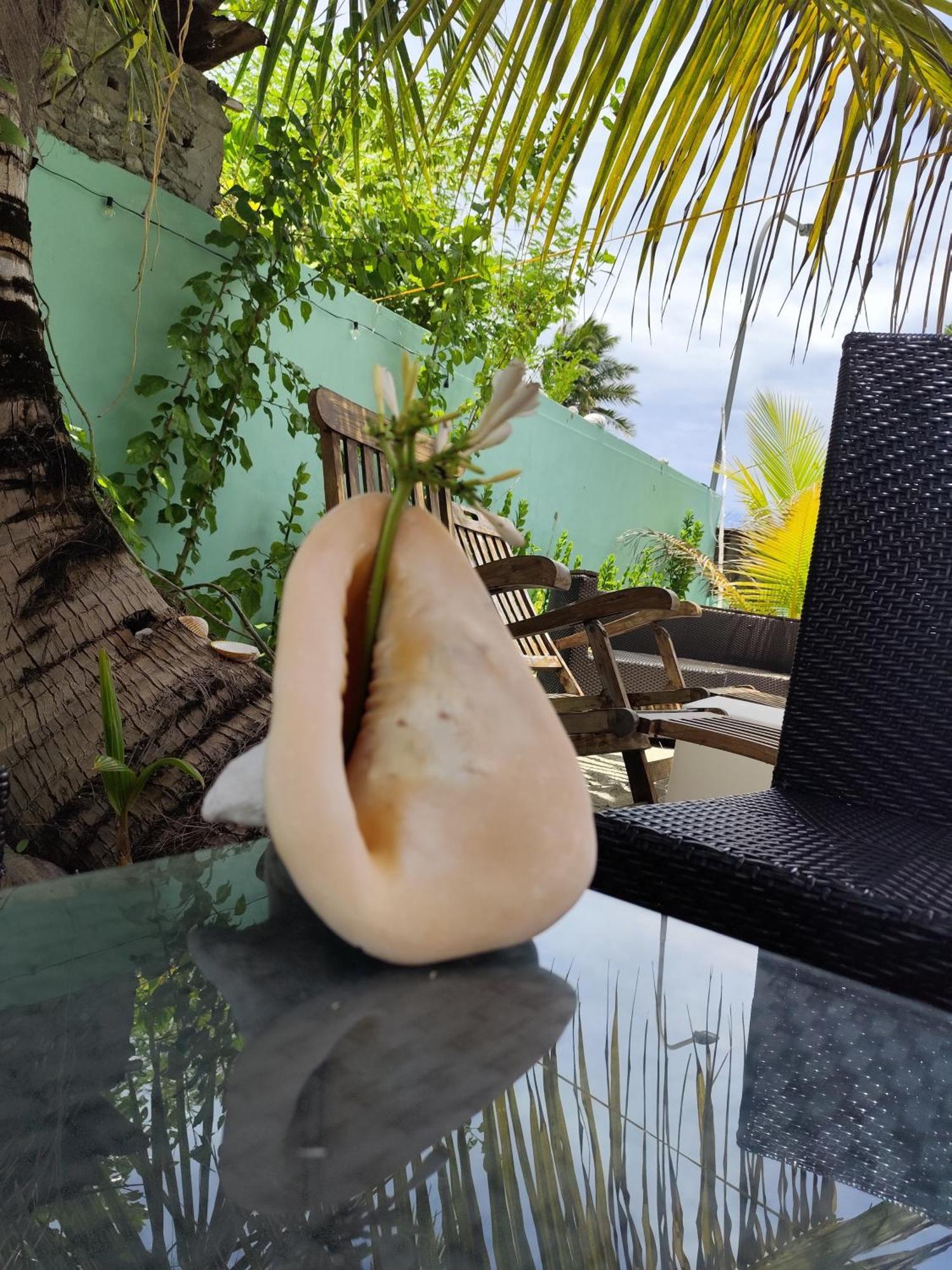 Mamello Beach Club Maldives Feridhoo Exteriör bild